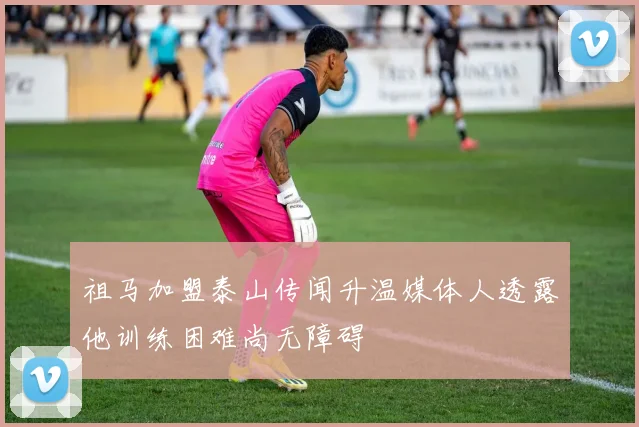 祖马加盟泰山传闻升温媒体人透露他训练困难尚无障碍